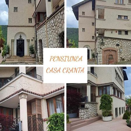 Pensiunea Casa Cranta Brasov Ngoại thất bức ảnh